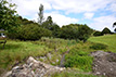 Lake de-silting & restoration, South Devon