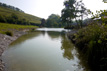 Natural waterscape & lake specialists, South Devon