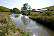 Wildlife ponds & lake specialists, South Devon