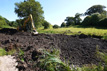 Pond & lake desilting South Devon