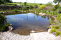 Wildlife pond excavation company South Devon | Natural garden ponds - Wagland land & waterscape, South Devon