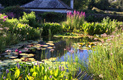 Wildlife pond excavation company South Devon | Natural garden ponds - Wagland land & waterscape, South Devon